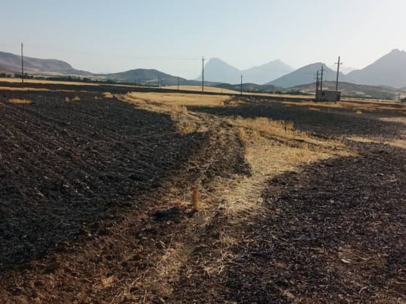 آتش سوزی مزارع کشاورزی کمیته امداد صحنه مهار شد