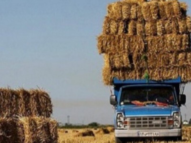 ۱۱۰ تن کاه و کلش قاچاق در کرمانشاه توقیف شد / مبادی ورودی و خروجی استان تحت کنترل است