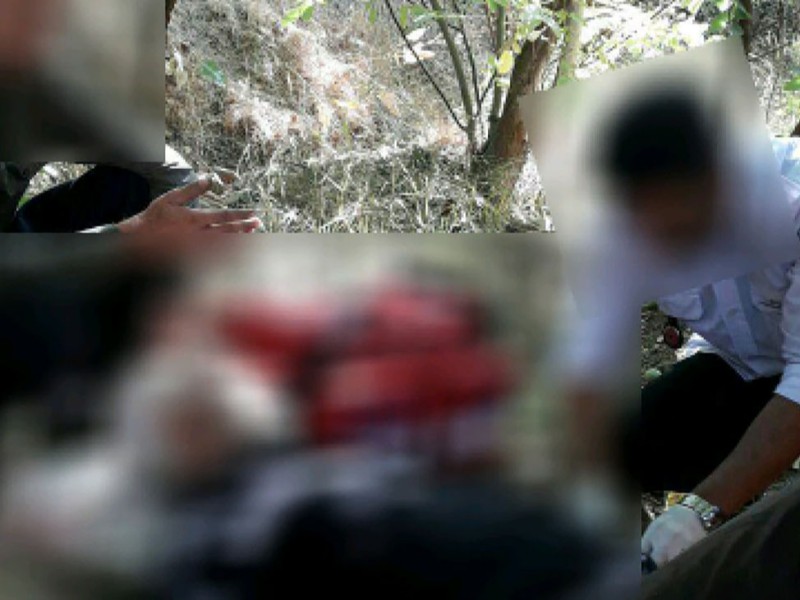 برداشت مرگبار محصول در صحنه/ گردوتکانی باغدار میانسالی را کُشت