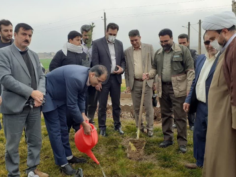 کاشت نهال در روز درختکاری