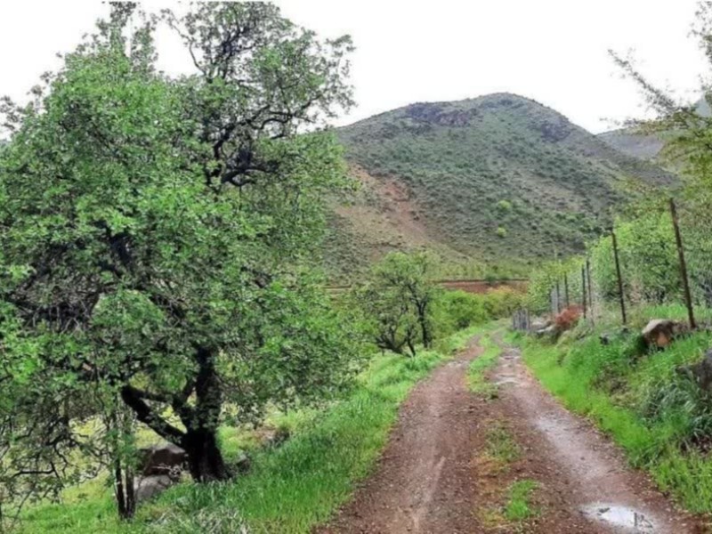 بهار ۱۴۰۳ در روستاهای دینور