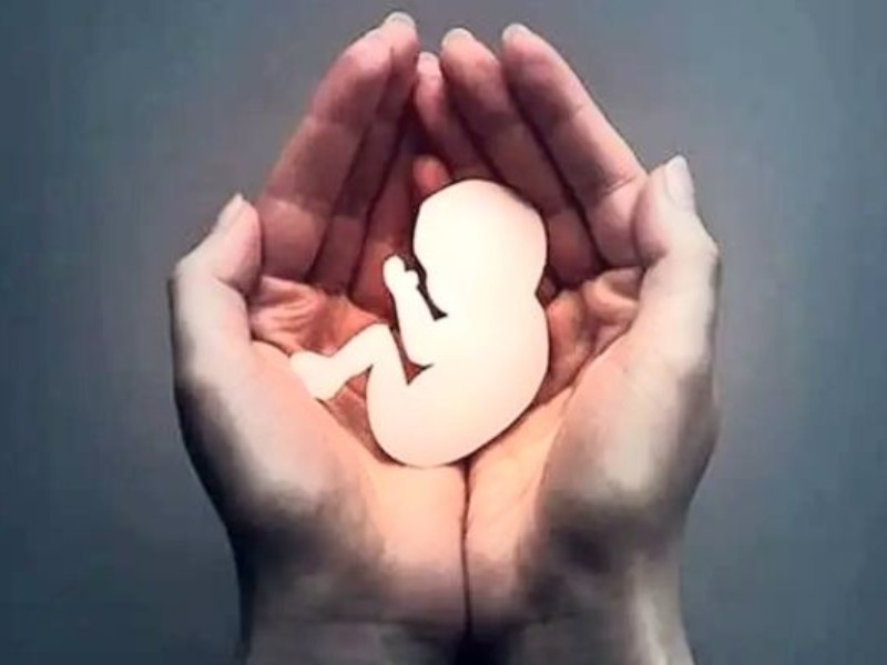 طرح نَفَس؛ نجاتدهنده جان مادر و جنین طرح نَفَس؛ نجاتدهنده جان مادر و جنین