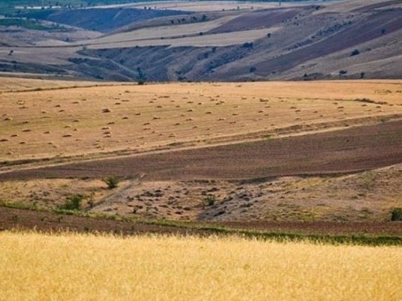رتبه نخست کرمانشاه در طرح جهش تولید رتبه نخست کرمانشاه در طرح جهش تولید
