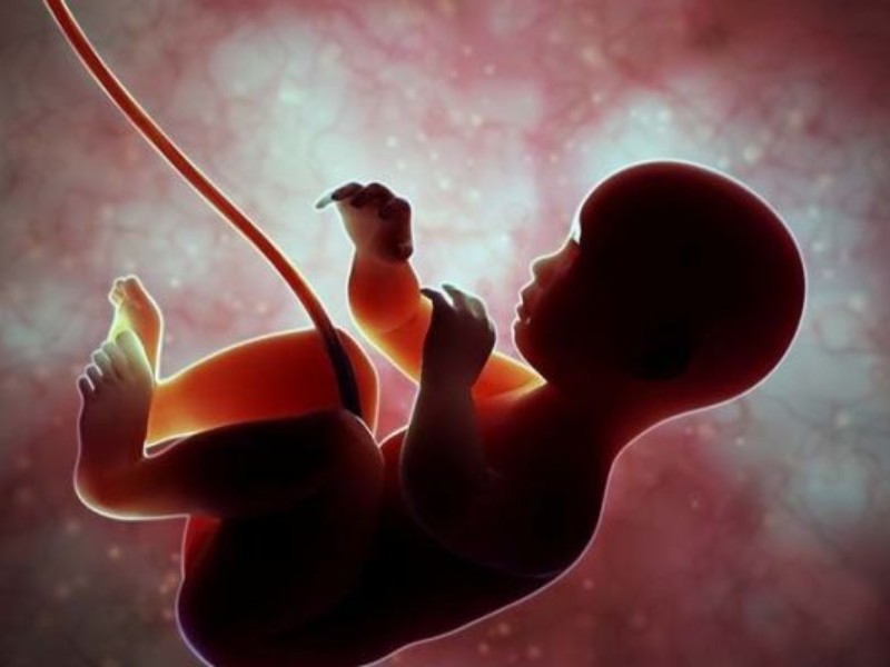 هشدار درباره سیاهچاله جمعیتی هشدار درباره سیاهچاله جمعیتی