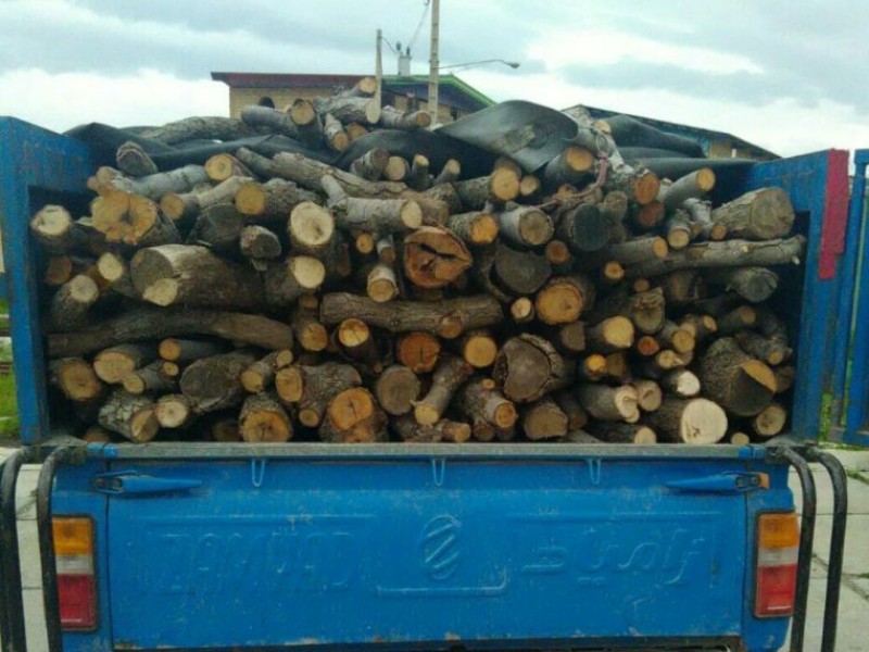 کشف ۴تن چوب قاچاق در صحنه