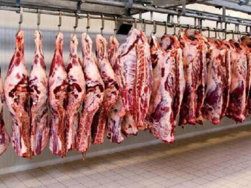 فعالیت ۳۰ کارخانه خوراک دام در کرمانشاه فعالیت ۳۰ کارخانه خوراک دام در کرمانشاه