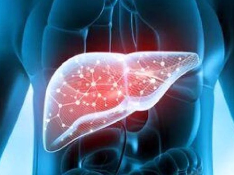 عوامل محیطی و ارثی بیماریهای کبدی عوامل محیطی و ارثی بیماریهای کبدی