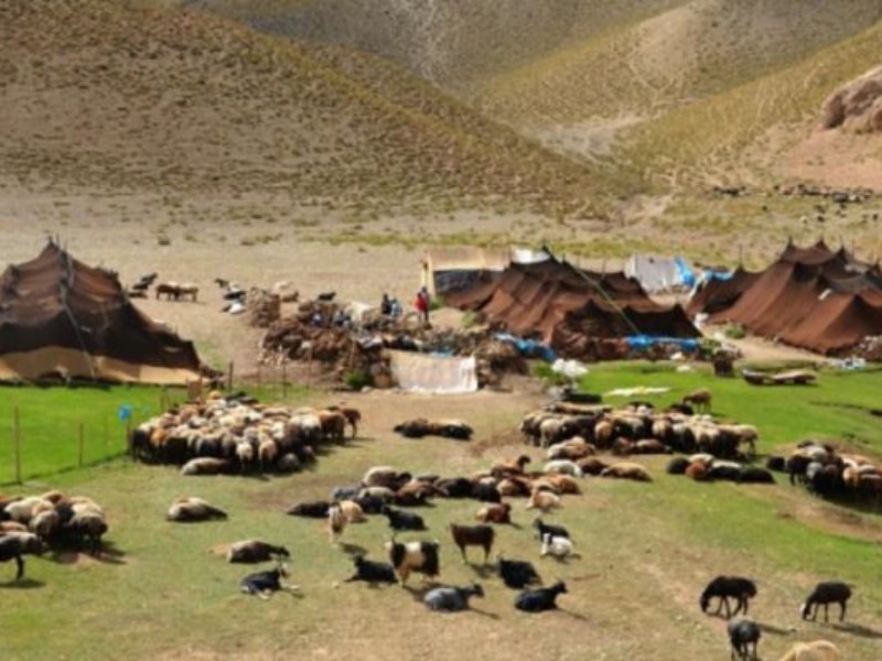 عشایر سربازان گمنام اقتصادی هستند عشایر سربازان گمنام اقتصادی هستند