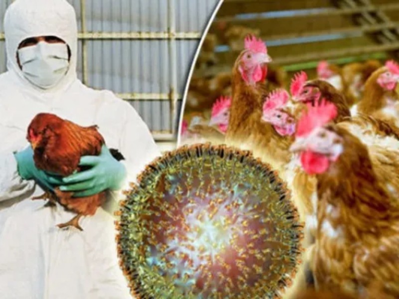 اقدامات پیشگیری از آنفولانزا را جدی بگیرید اقدامات پیشگیری از آنفولانزا را جدی بگیرید