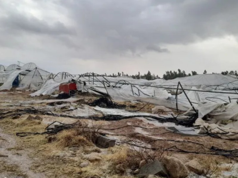 خسارت ۱۷ میلیارد ریالی تگرگ به قصرشیرین خسارت ۱۷ میلیارد ریالی تگرگ به قصرشیرین