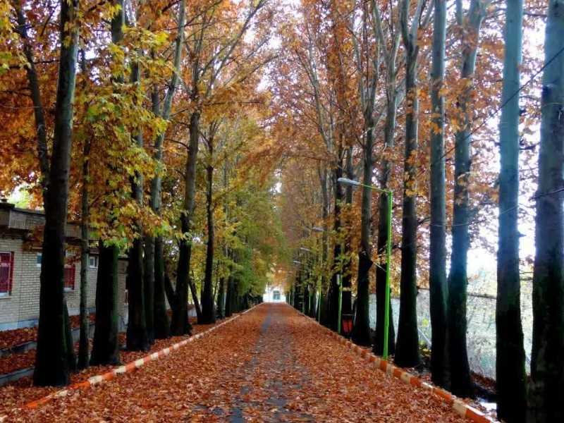 رویداد عکاسی پاییز هزار رنگ در صحنه رویداد عکاسی پاییز هزار رنگ در صحنه