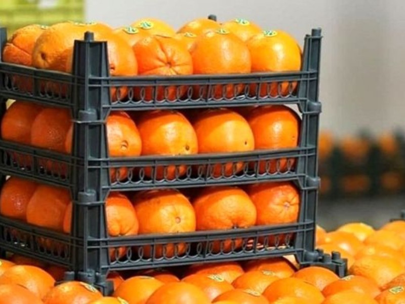 عرضه مستقیم میوه شب عید در کرمانشاه عرضه مستقیم میوه شب عید در کرمانشاه