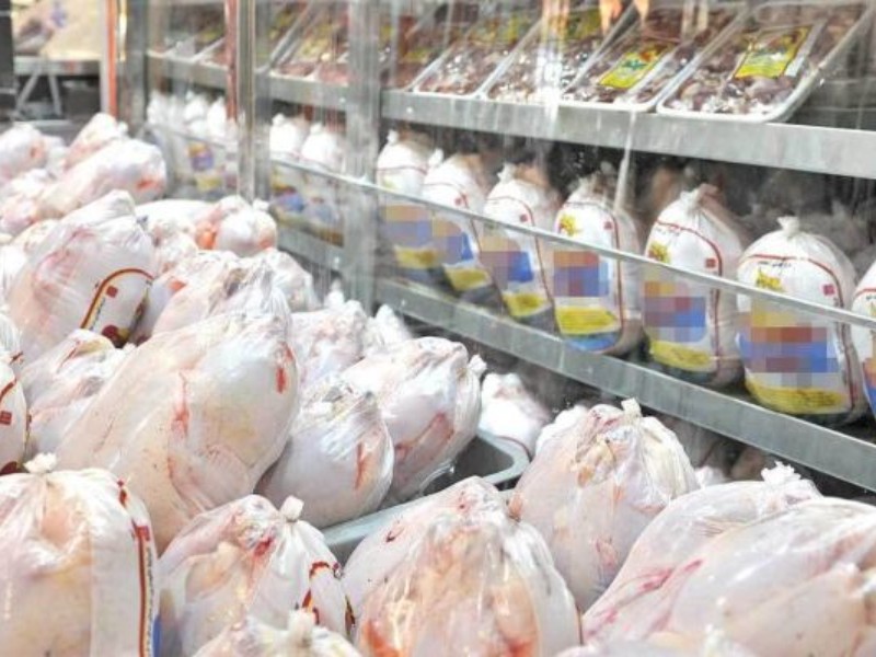 تولیدات پروتئینی کیفی است تولیدات پروتئینی کیفی است