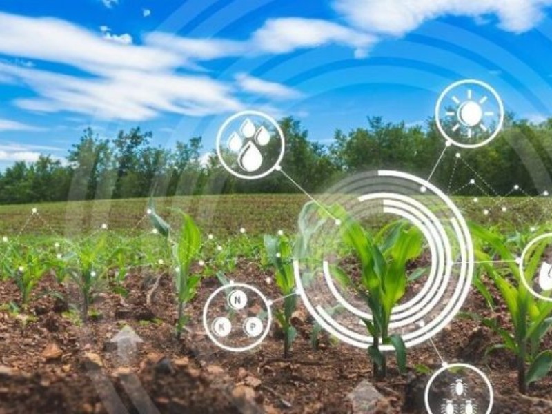 سند جدید کشاورزی کرمانشاه بهرهوری را افزایش میدهد سند جدید کشاورزی کرمانشاه بهرهوری را افزایش میدهد