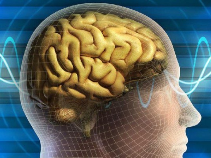 سالانه ۳ هزار کرمانشاهی دچار سکته مغزی میشوند سالانه ۳ هزار کرمانشاهی دچار سکته مغزی میشوند