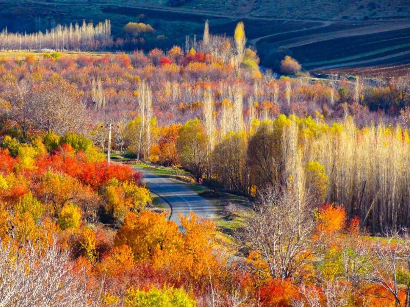 انفجار رنگ ها در خزان برگ ها /پاییز در منطقه زیبای دینور