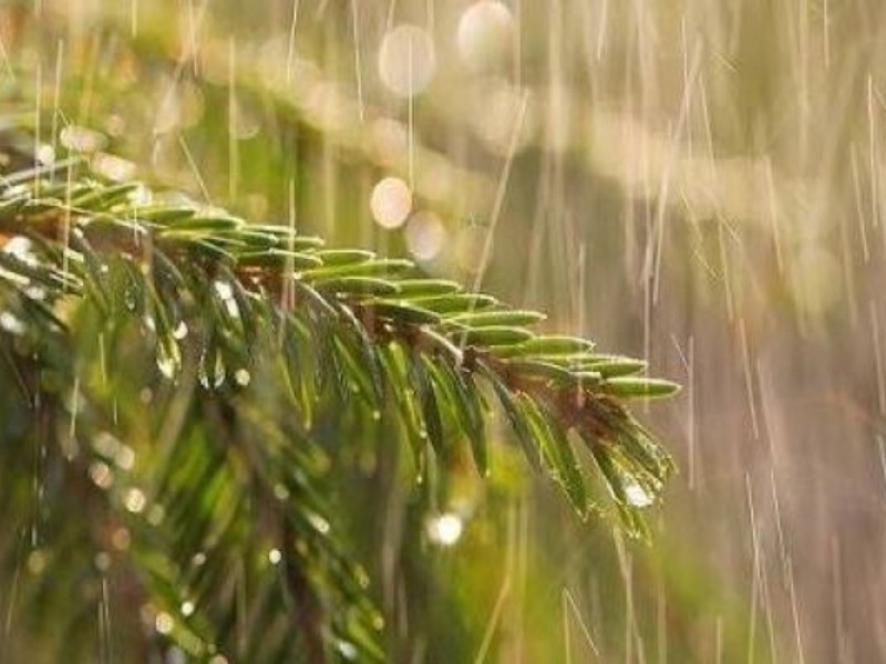 آسمان کرمانشاه این هفته بارانی است